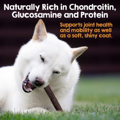 Beef Collagen Sticks 12-inch Natural Dog Chew Treats, 5 count