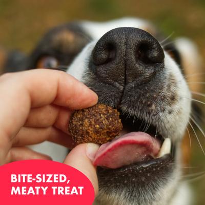 Meatball BBQ Beef Soft & Chewy Dog Treats, 7-oz bag