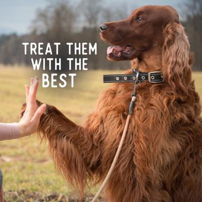 Whole Pork Chips All Natural Single Ingredient Dog Treats, 8-oz bag