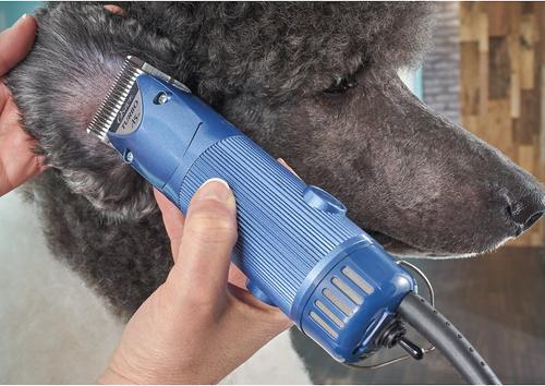 A5 Turbo 2-speed Pet Hair Grooming Clipper, Dark Blue