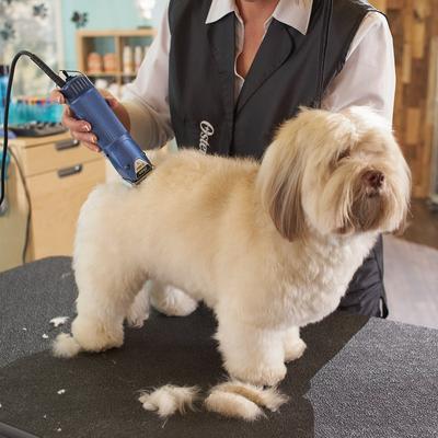 A5 Turbo 2-speed Pet Hair Grooming Clipper, Dark Blue