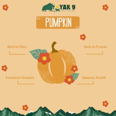 Pumpkin Yak Chew Dog Treat, Large, 1 count