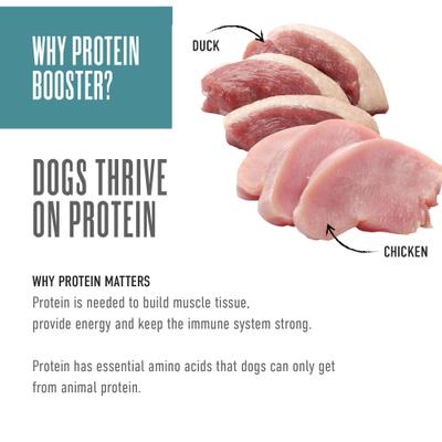 Born Carnivore Protein Booster Chicken & Duck Recipe in Broth Grain-Free Dog Food Topper, 2.1-oz pouch, case of 12