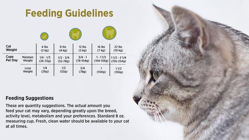 Chicken Meal & Rice Recipe Lean Dry Cat Food, 4-lb bag