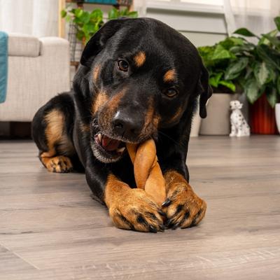 CareChewz 6 to 7-inch Collagen Twist Chicken Flavored Dog Hard Chews, 6 count