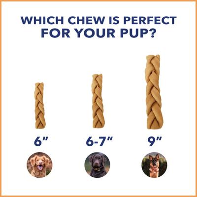 CareChewz 6 to 7-inch Collagen Twist Chicken Flavored Dog Hard Chews, 6 count