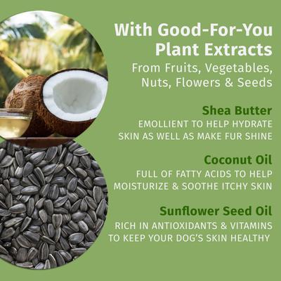 Deodorizing Dog Shampoo, Creamy Citrus Orange & Red Raspberry Scent, 17-fl oz bottle