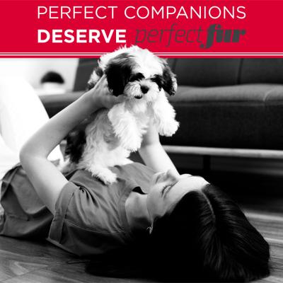 PerfectFur Long Haired Coat Conditioning & Detangling Dog Shampoo, 16-fl oz bottle