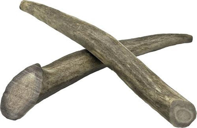 5 to 8-in Whole Deer Antler Dog Treats, Small, 2 count