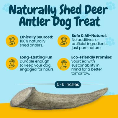 5 to 8-in Whole Deer Antler Dog Treats, Small, 2 count