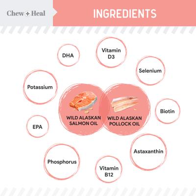 Wild Alaskan Omega Salmon Oil Formula Skin & Coat Liquid Supplement for Dogs, 32-fl oz bottle