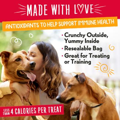 Nuggets Sunny Side Up Crunchy Dog Treats, bolsa de 6 oz