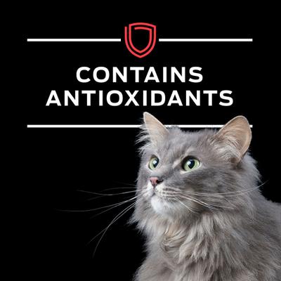 Alimento húmedo para gatos DM Dietetic Management, 5.5 oz, caja de 24