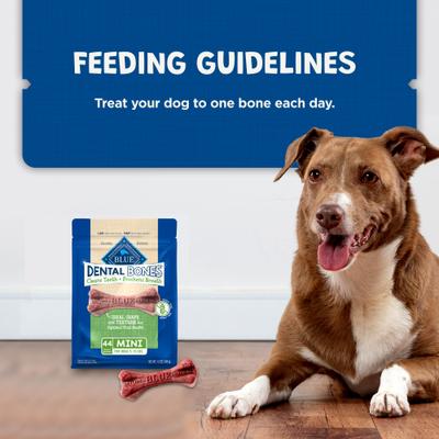 Dental Bones Mini All Natural Rawhide-Free Dental Dog Treats, 44 count