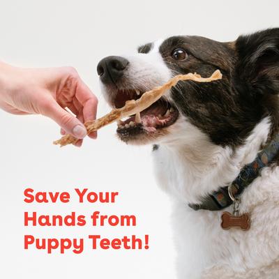 Turkey Tendons Dog Chews, 10 count