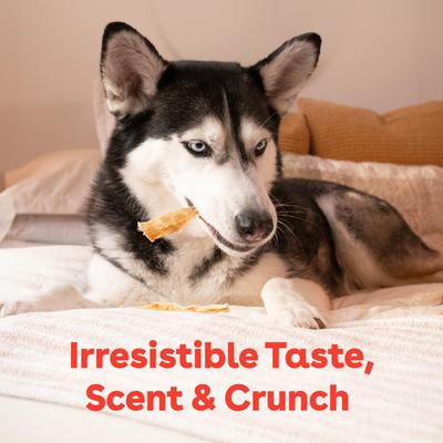 Turkey Tendons Dog Chews, 10 count