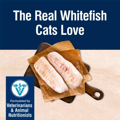 True Solutions Perfect Skin & Coat Natural Whitefish Adult Wet Cat Food, 3-oz can, case of 24