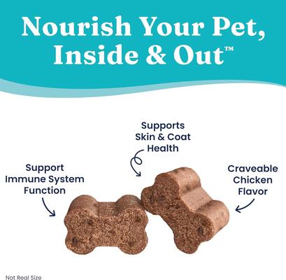 OMG! Chicken Flavored Soft Chews Omega 3 Fish Oil Supplement for Dogs, 60 count