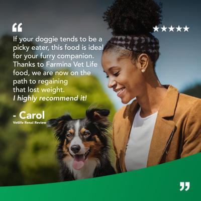 Renal Canine Dry Dog Food, 4.4-lb bag