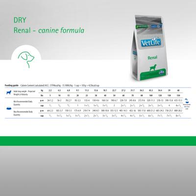 Renal Canine Dry Dog Food, 4.4-lb bag