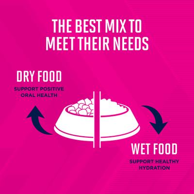 Adult with Lamb & Rice Canned Dog Food, 13.2-oz, case of 12