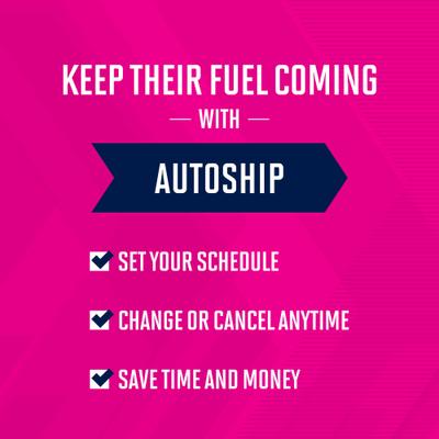 Adult with Lamb & Rice Canned Dog Food, 13.2-oz, case of 12