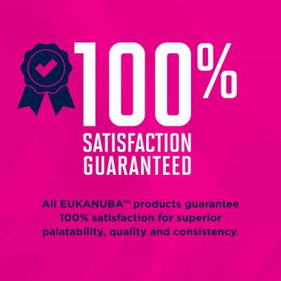 Adult with Lamb & Rice Canned Dog Food, 13.2-oz, case of 12