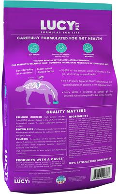 Limited Ingredient Diet Chicken, Brown Rice & Pumpkin Formula Dry Dog Food, 12-lb bag