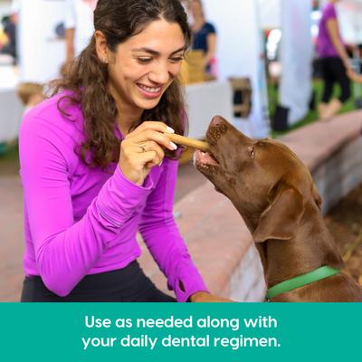 Breath Bursts Peppermint Sticks Medium/Large Dental Dog Treats, 6-oz bag