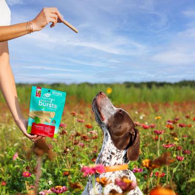 Breath Bursts Peppermint Sticks Medium/Large Dental Dog Treats, 6-oz bag