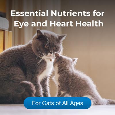 Taurine Daily Chewable Tablet Supplement for Cats, 100 count