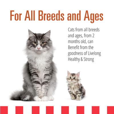 Yummy Turducken Wet Cat Food, 5.5-oz can, 24 count