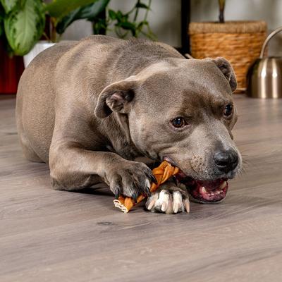 CareChewz 6 to 7-inch Collagen Braid Chicken Flavored Dog Hard Chews, 15 count