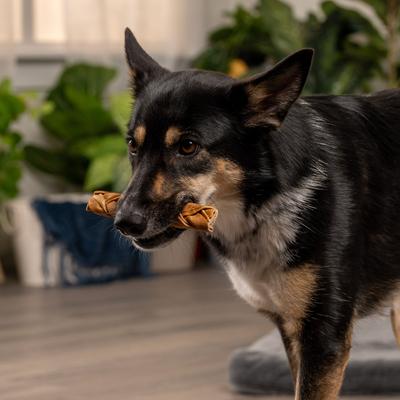 CareChewz 6 to 7-inch Collagen Braid Chicken Flavored Dog Hard Chews, 15 count