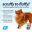 Furbliss Anti-Itch Soothing Oatmeal Shampoo for Dogs & Cats, 16-fl oz bottle