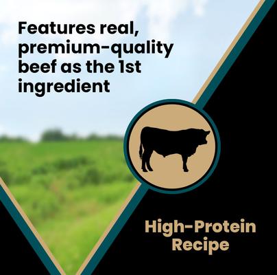 Hi-Pro Bites Tender Beef Recipe High Protein Training Dog Treats, 14-oz bag