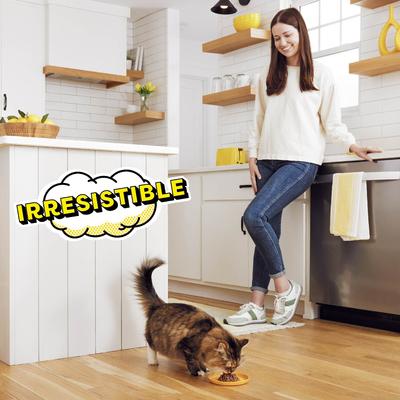 Bites in Gravy Flavor Variety Wet Cat Food, 3.5-oz tray, case of 12