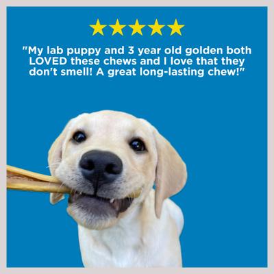 6-inch Cheeky Beef Flavored Dog Hard Chews, 5 count