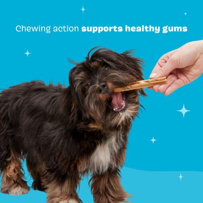 Bright Small Chicken Flavored Dental Dog Treats, 30 count