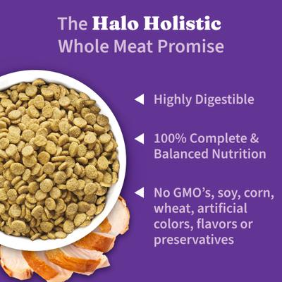 Holistic Complete Digestive Health Grain-Free Turkey & Sweet Potato Dog Food Recipe Adult Dry Dog Food, 3.5-lb bag