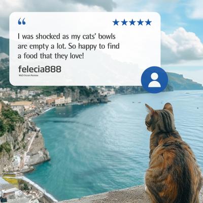 N&D Ocean Tuna & Shrimp Grain-Free Wet Cat Food, 2.46-oz can, case of 6