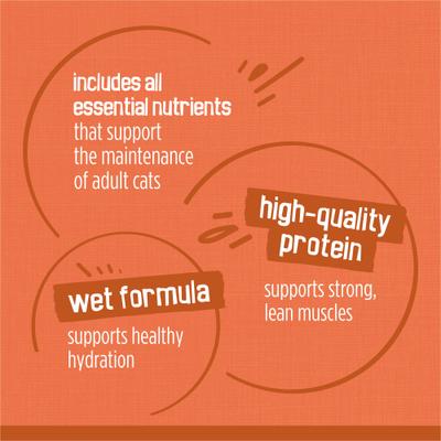 TurChicken Variety Pack Canned Cat Food, 5.5-oz can, case of 48