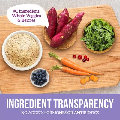 Vegetarian Entree Canned Dog Food, 12.5-oz, case of 12