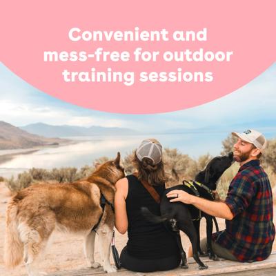 Train Surf & Turf Natural Freeze-Dried Dog Treats, 3-oz pouch