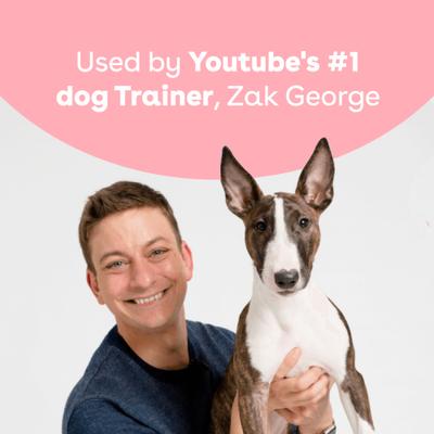 Train Surf & Turf Natural Freeze-Dried Dog Treats, 3-oz pouch