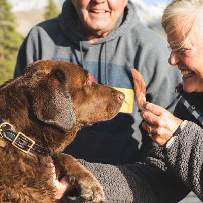 Pork Loin Strips Dog Jerky Treats, 10-oz bag