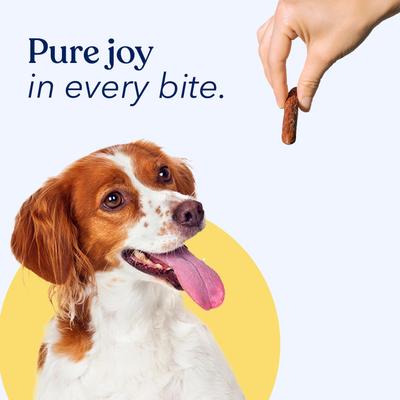 Premios para perros Jerky Bites con sabor a carne de res, sin cereales, bolsa de 7.8 oz