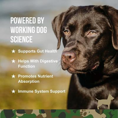 Beef Flavored Gut Health Supplement for Dogs, 90 count