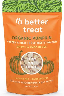 Organic Freeze-Dried Pumpkin Organic Dog & Cat Treats, 1-oz bag