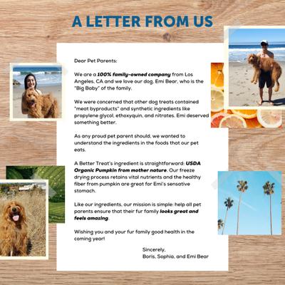 Organic Freeze-Dried Pumpkin Organic Dog & Cat Treats, 1-oz bag